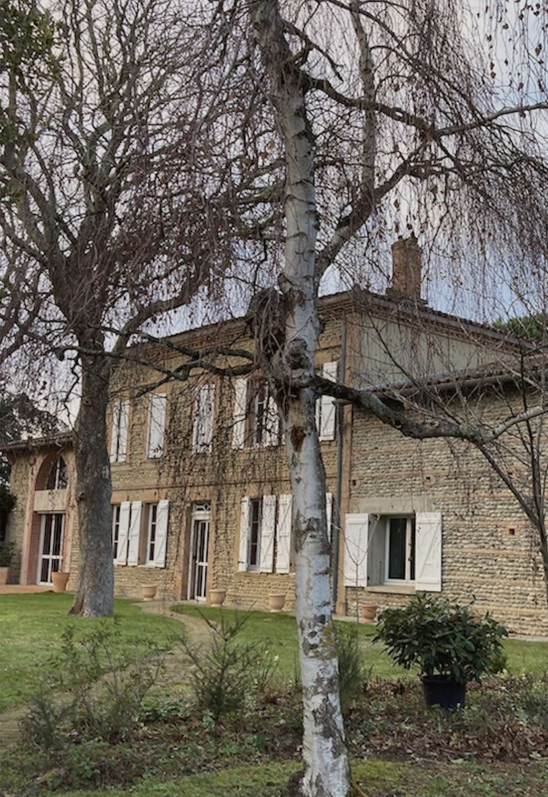 bauduc